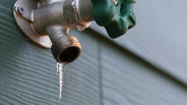 Best Local Plumber Services  in Bonny Doon, CA