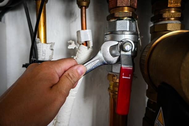 Best Water Softener Installation  in Bonny Doon, CA